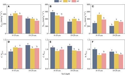 Vegetation restoration of abandoned cropland improves soil ecosystem multifunctionality through alleviating nitrogen-limitation in the China Danxia